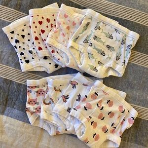 NEVER WORN Hanna Andersson training pants